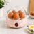 CUISEUR1 Mini Cuiseur d’Œufs Électrique – Cuisson Rapide & Parfaite